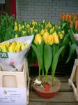 [Test 2006_0216Image0009.JPG]